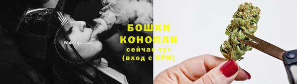 мдпв Краснотурьинск