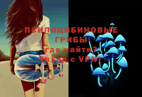 мдпв Краснотурьинск