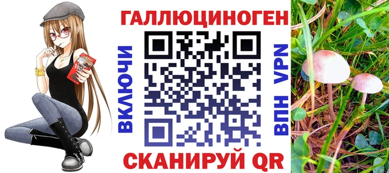 Купить где  Павловск  Псилоцибиновые грибы Magic Shrooms 